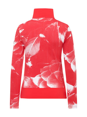 #color_chily-red