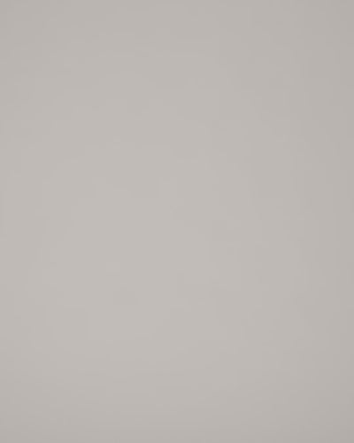 #color_bright-white