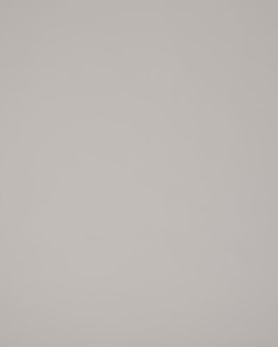 #color_bright-white